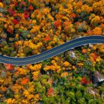Explore America on These Top 5 Scenic Roadways