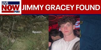 Fatal Split: Why This Student Never Made It Home